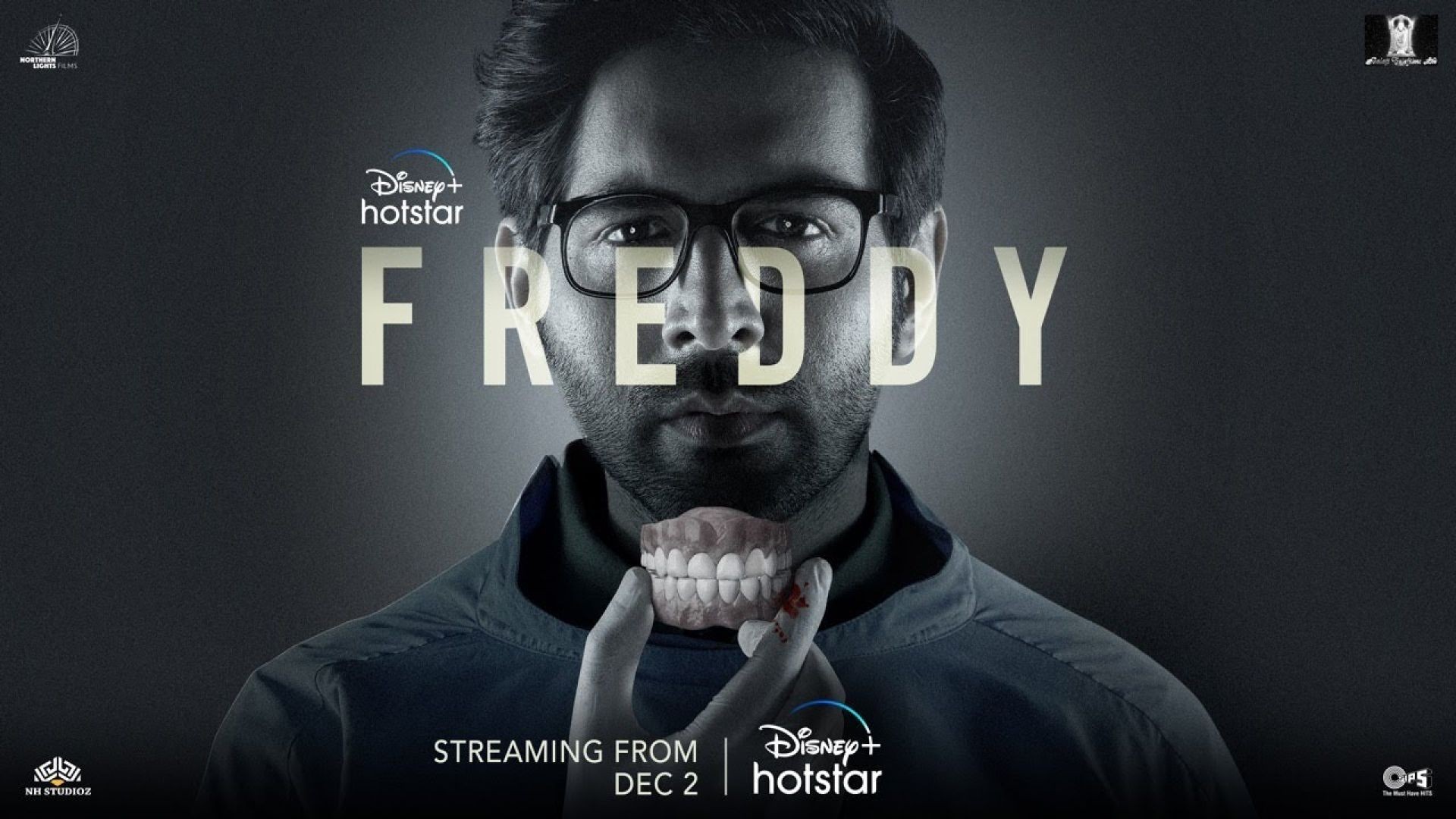 Freddy (2022) Hindi DSNP WEB-DL 1080p